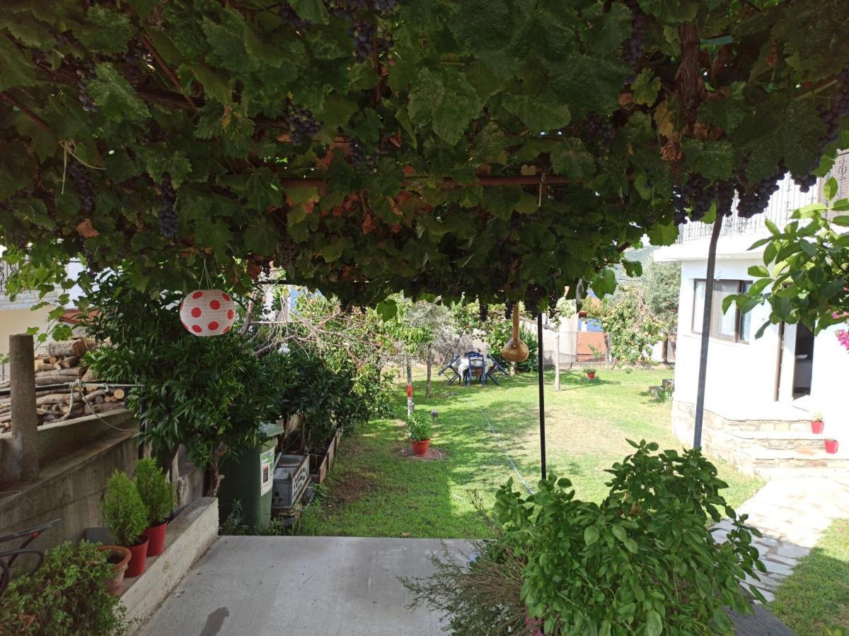Dora'S House Comfortable Apartment With A Yard And View Pyrgadikia Exteriör bild